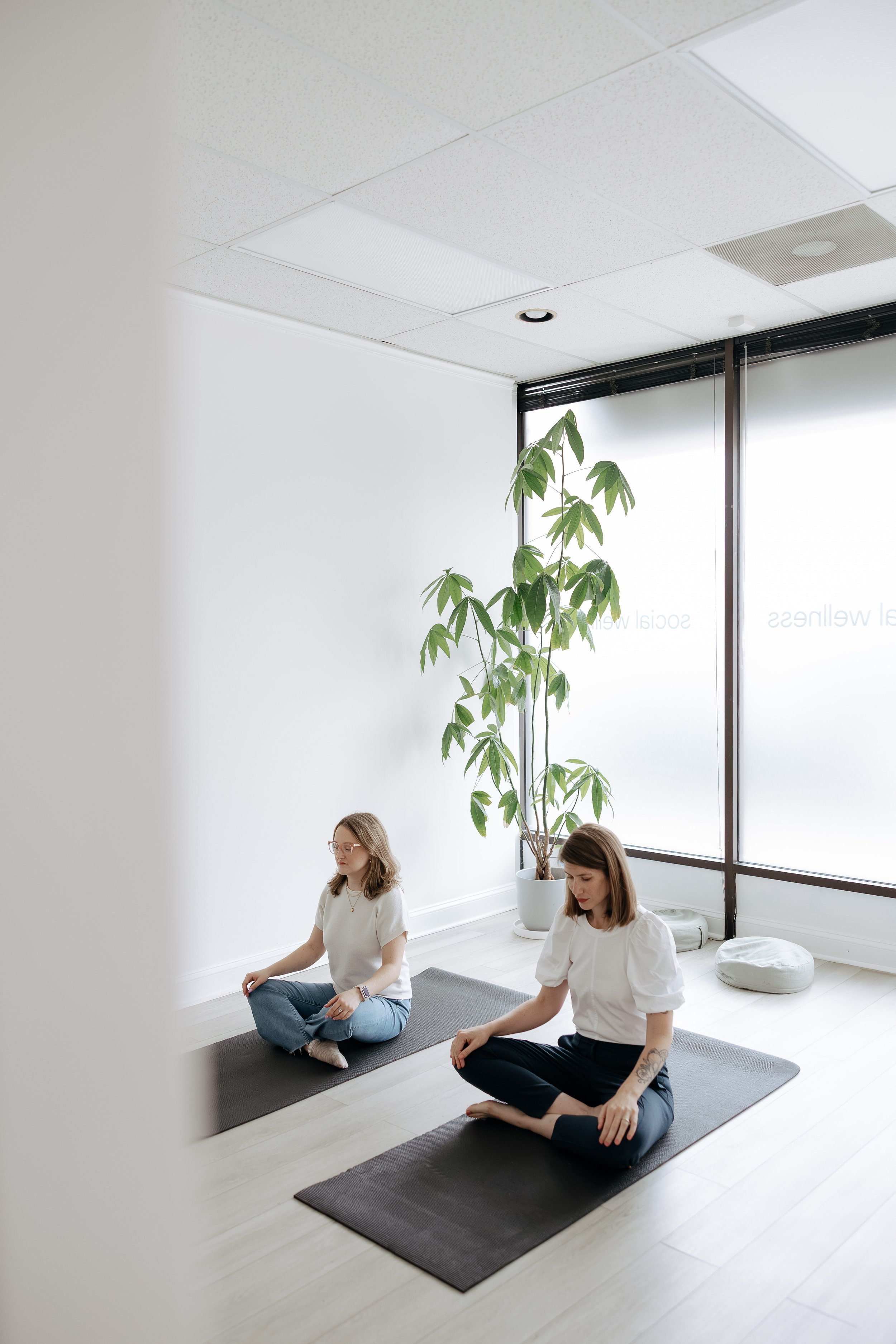 somatic therapy Lakeview