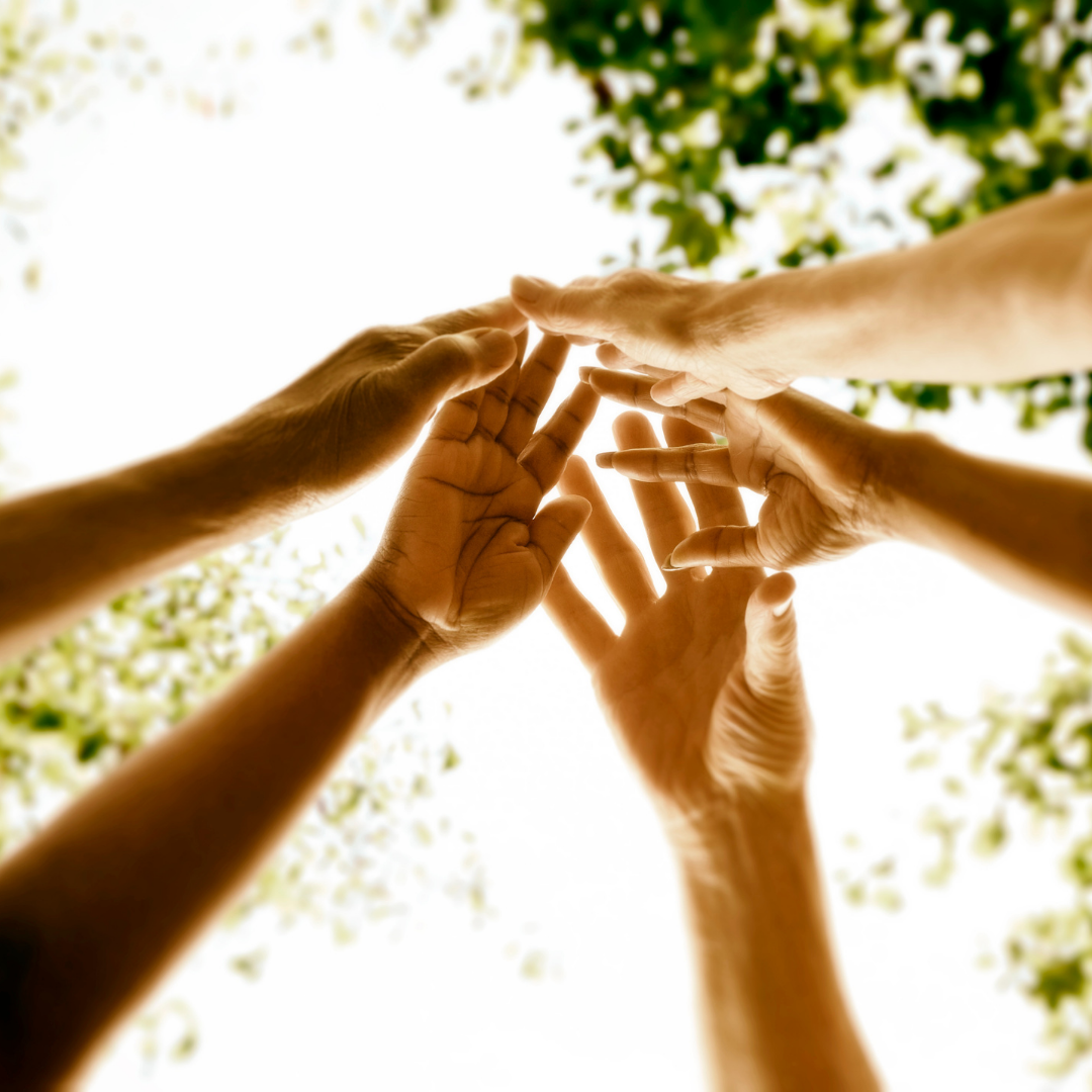 Special Events — Pawling Yoga & Wellness