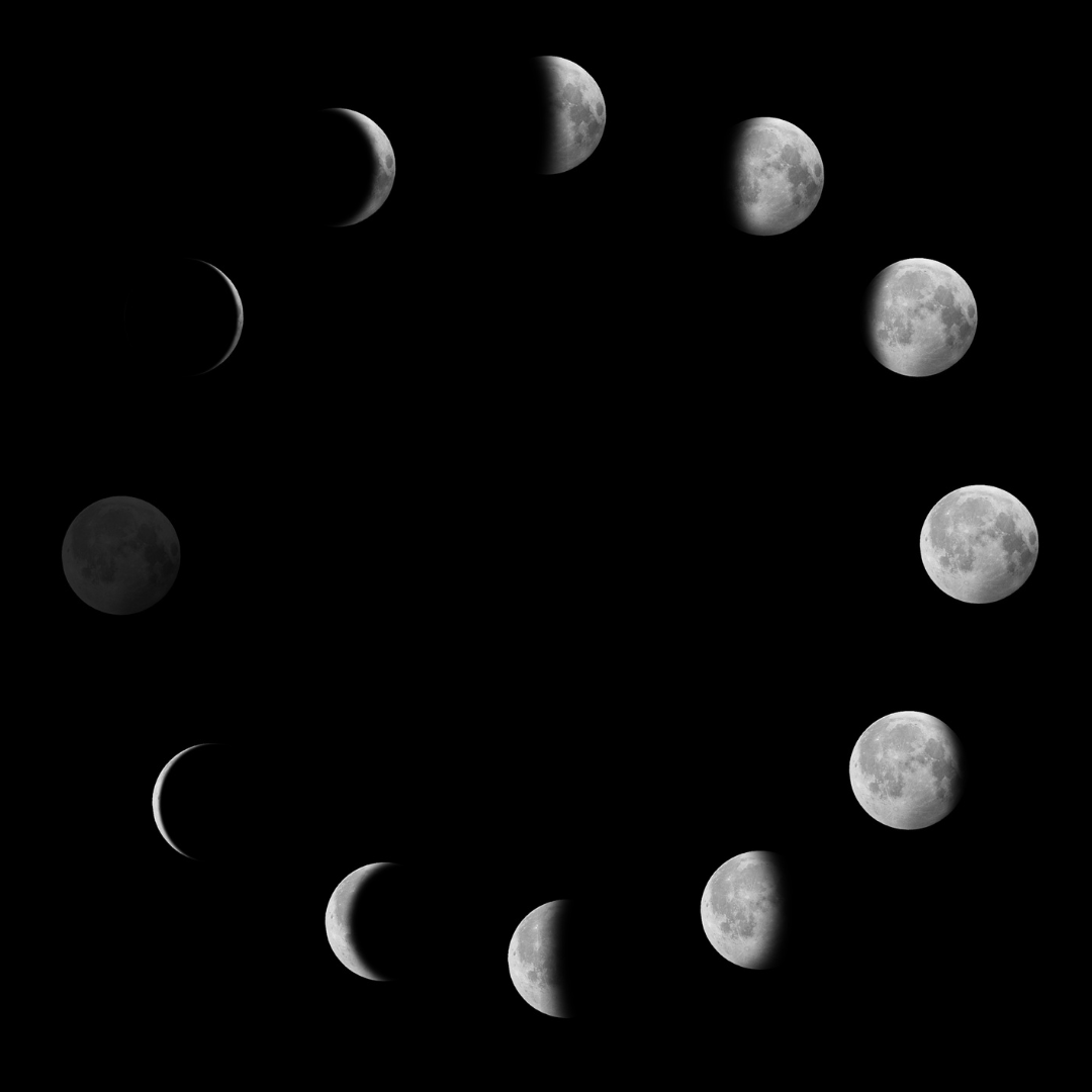 Special Events — Pawling Yoga & Wellness