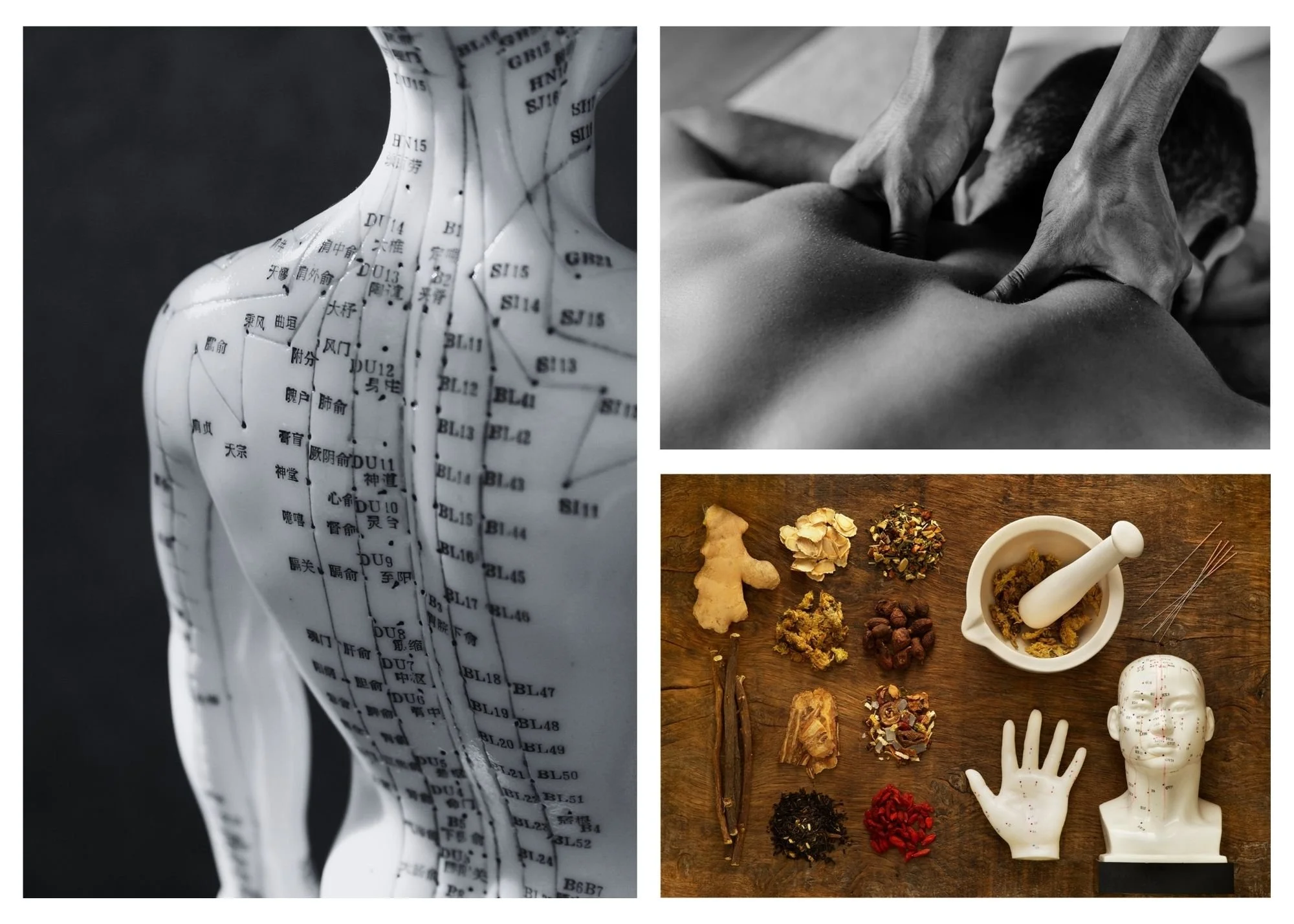 Pay What You Can — Pawling Yoga & Wellness