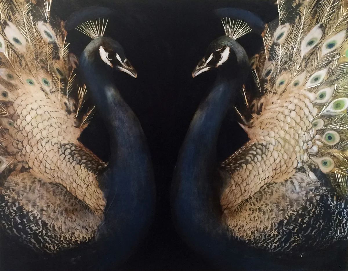 Copy of royalgarden-.jpg