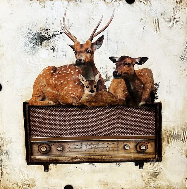 The Antlers