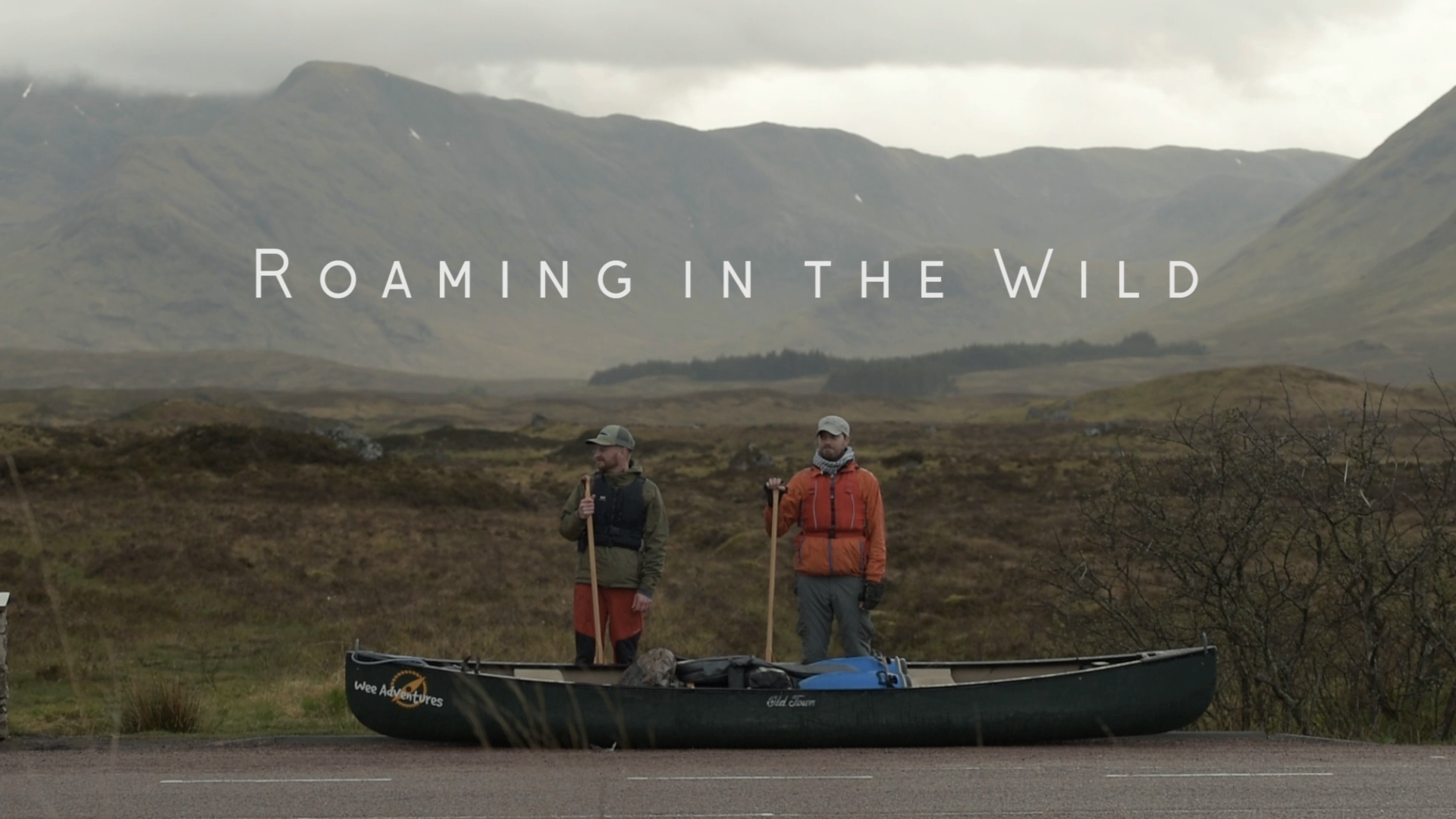 Roaming In The Wild (TV Series)