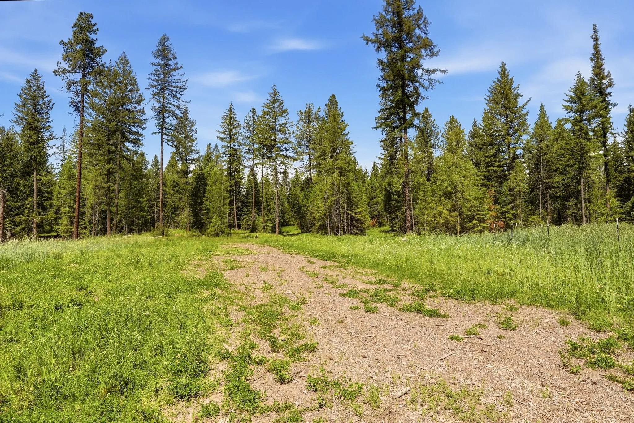 Inside-Media-Deer Park-106.JPG