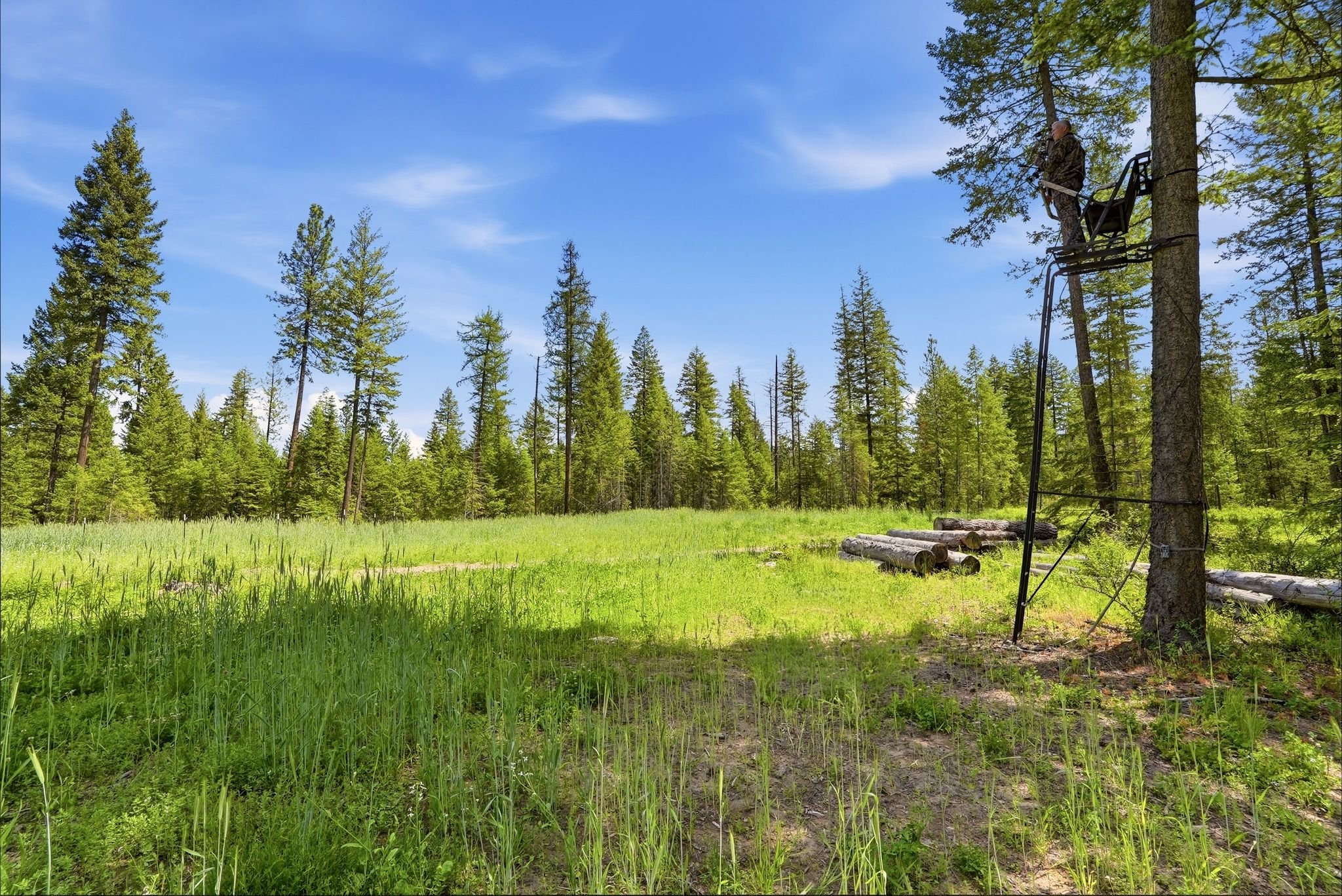 Inside-Media-Deer Park-114.JPG