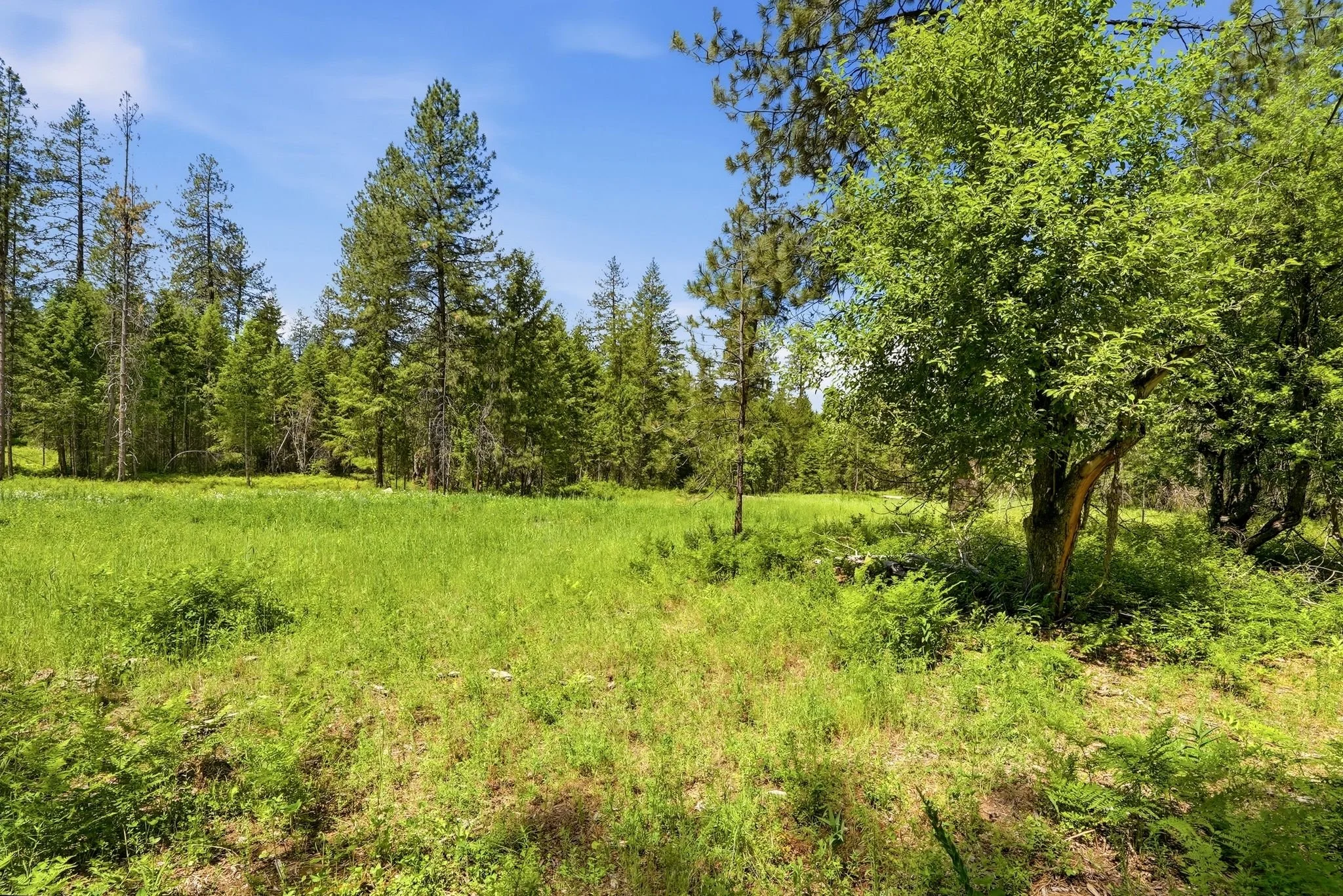 Inside-Media-Deer Park-127.JPG