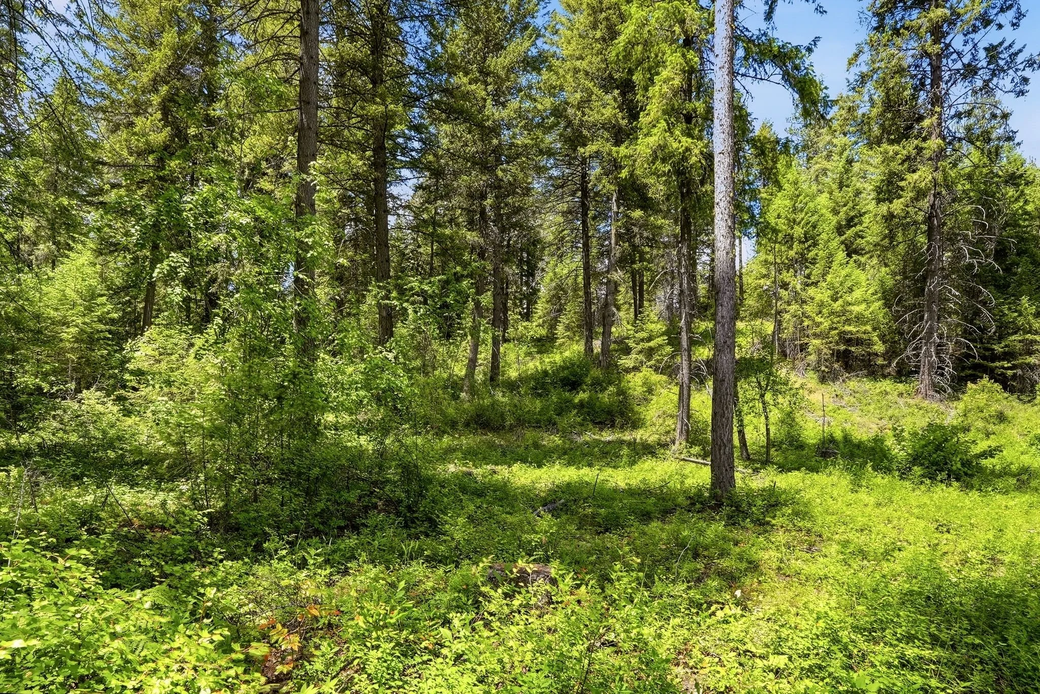 Inside-Media-Deer Park-129.JPG