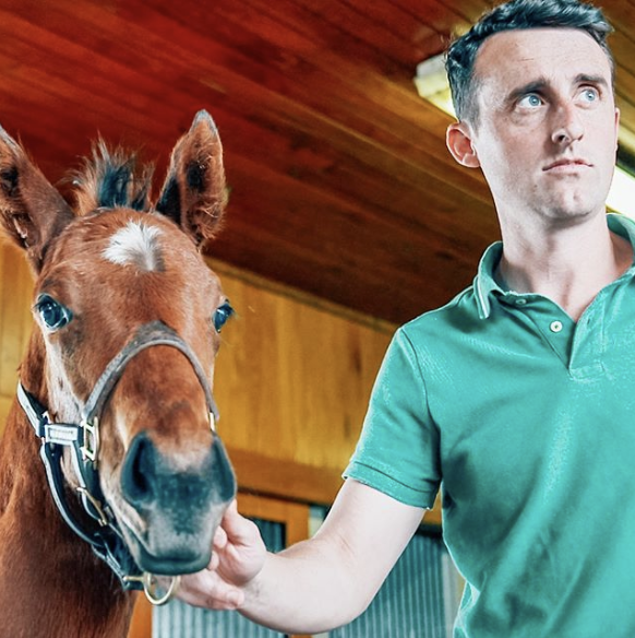 Screen Shot 2019-10-29 at 3.28.44 PM.png