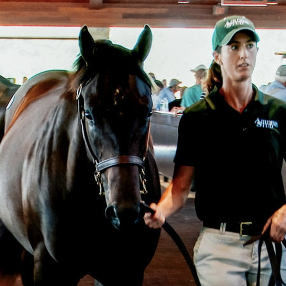 Screen Shot 2019-10-29 at 3.25.27 PM.png