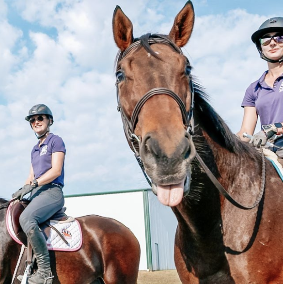 Screen Shot 2019-10-29 at 3.25.21 PM.png