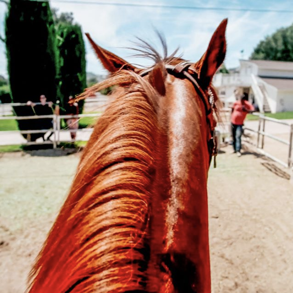 Screen Shot 2019-10-29 at 3.26.28 PM.png