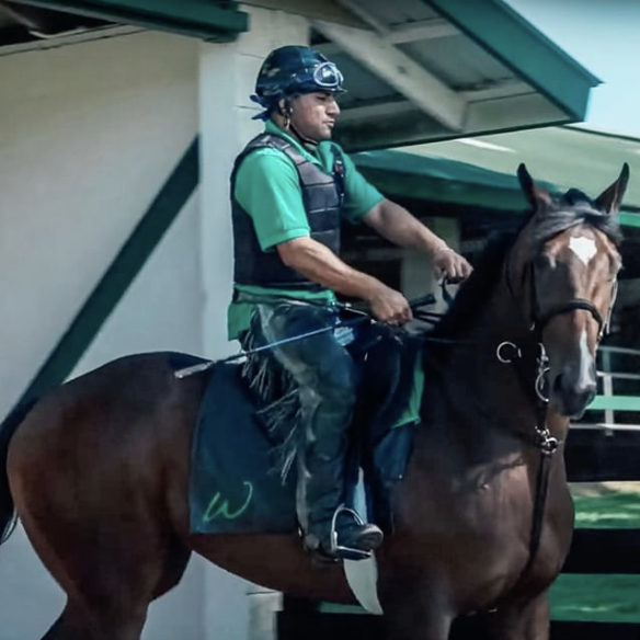 Screen Shot 2019-10-29 at 3.26.45 PM.png