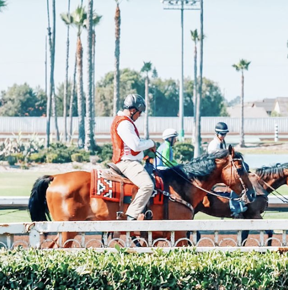 Screen Shot 2019-10-29 at 3.27.19 PM.png