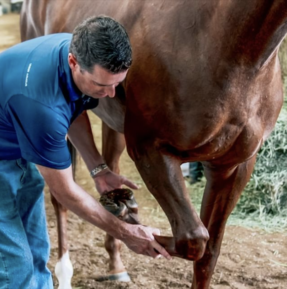 Screen Shot 2019-10-29 at 3.27.50 PM.png