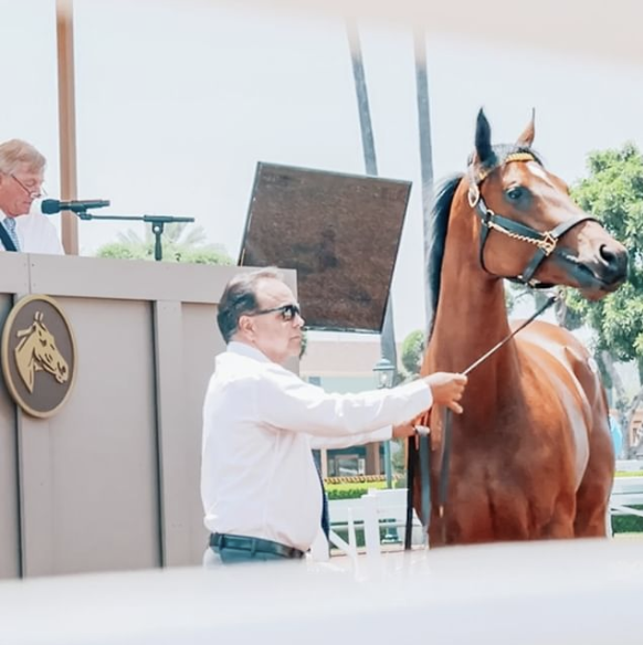 Screen Shot 2019-10-29 at 3.28.11 PM.png