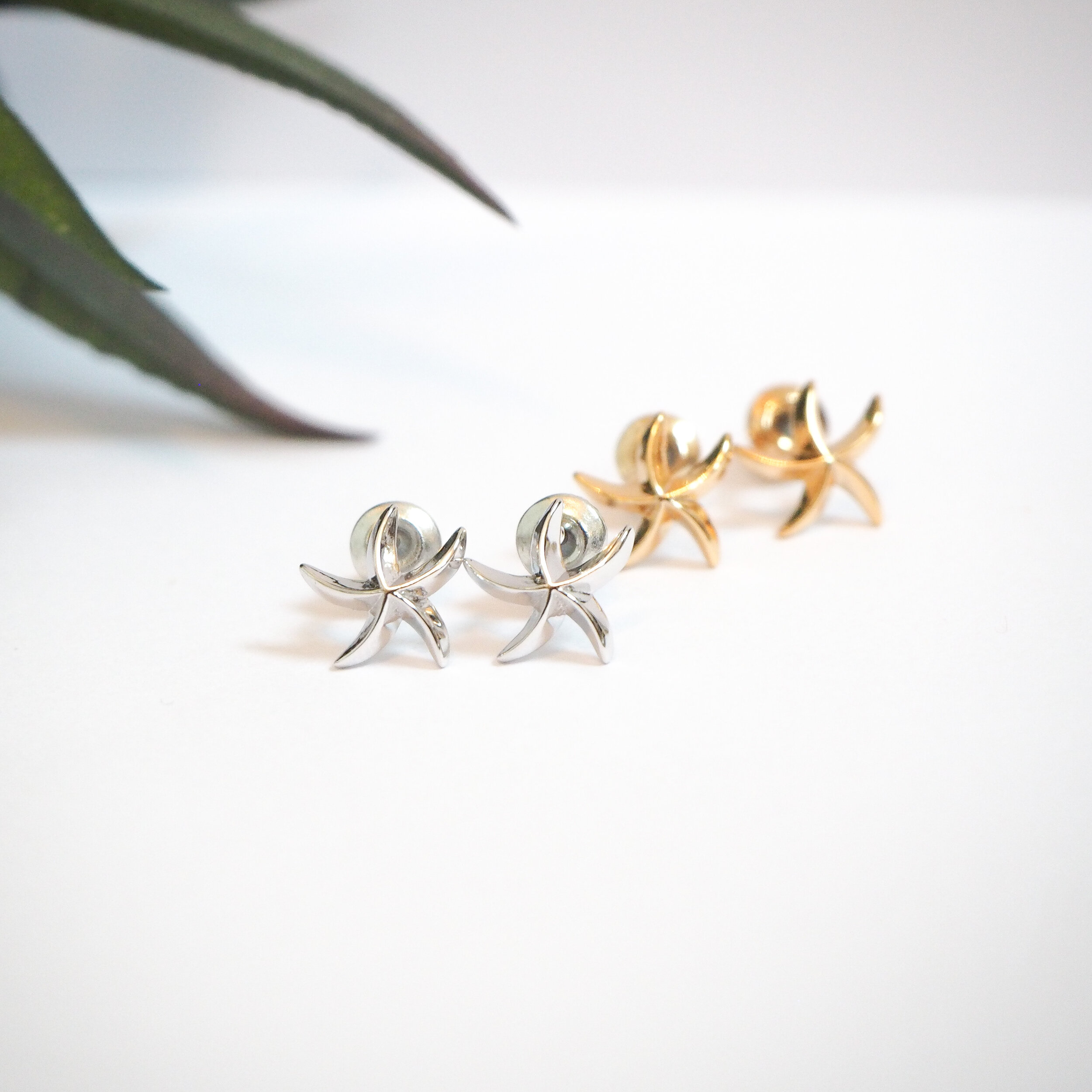 0E4D2006-88D3-417D-B739-3FDF7EE3BA2D