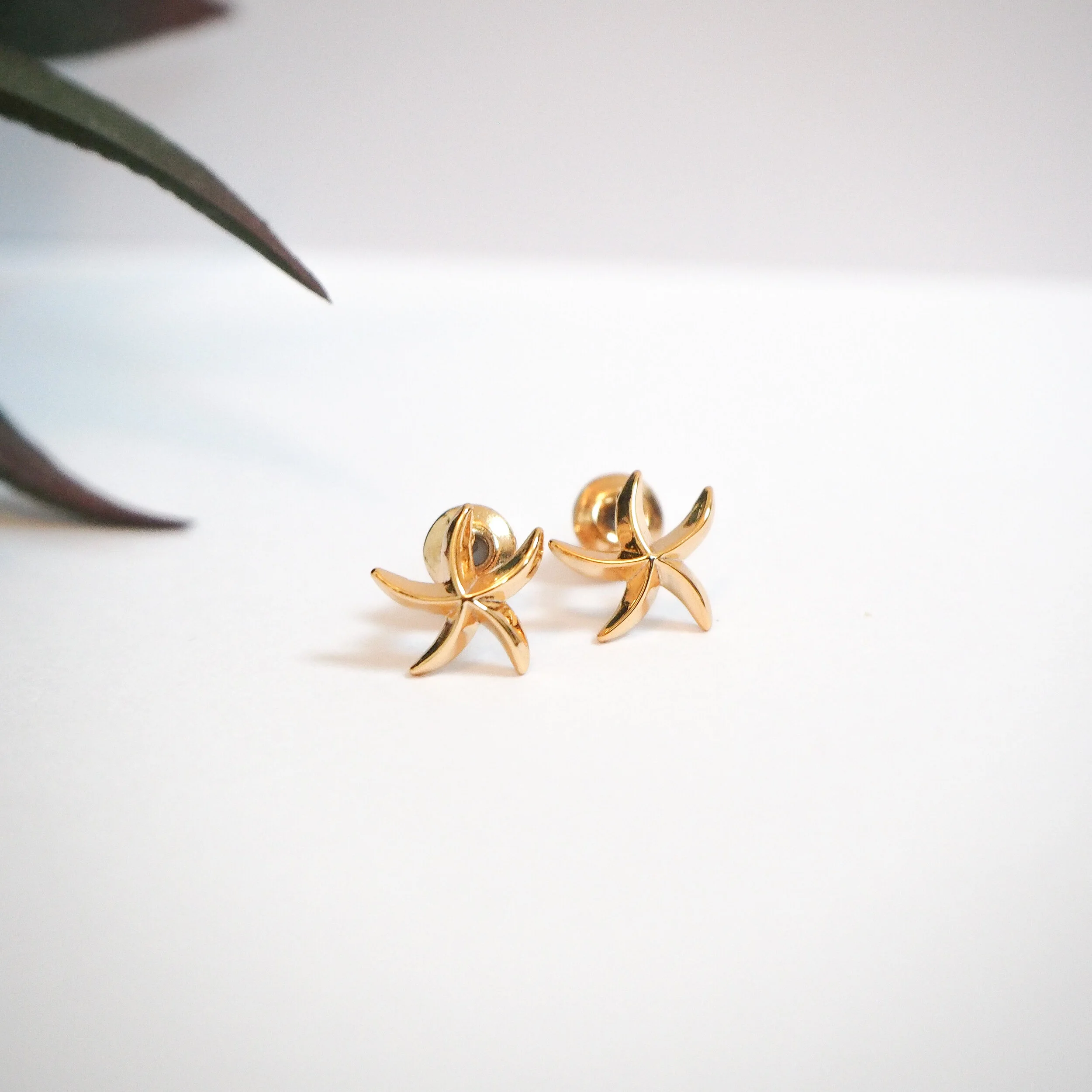 0F19FC3E-FDC6-4187-85CE-BB7F536D64AC