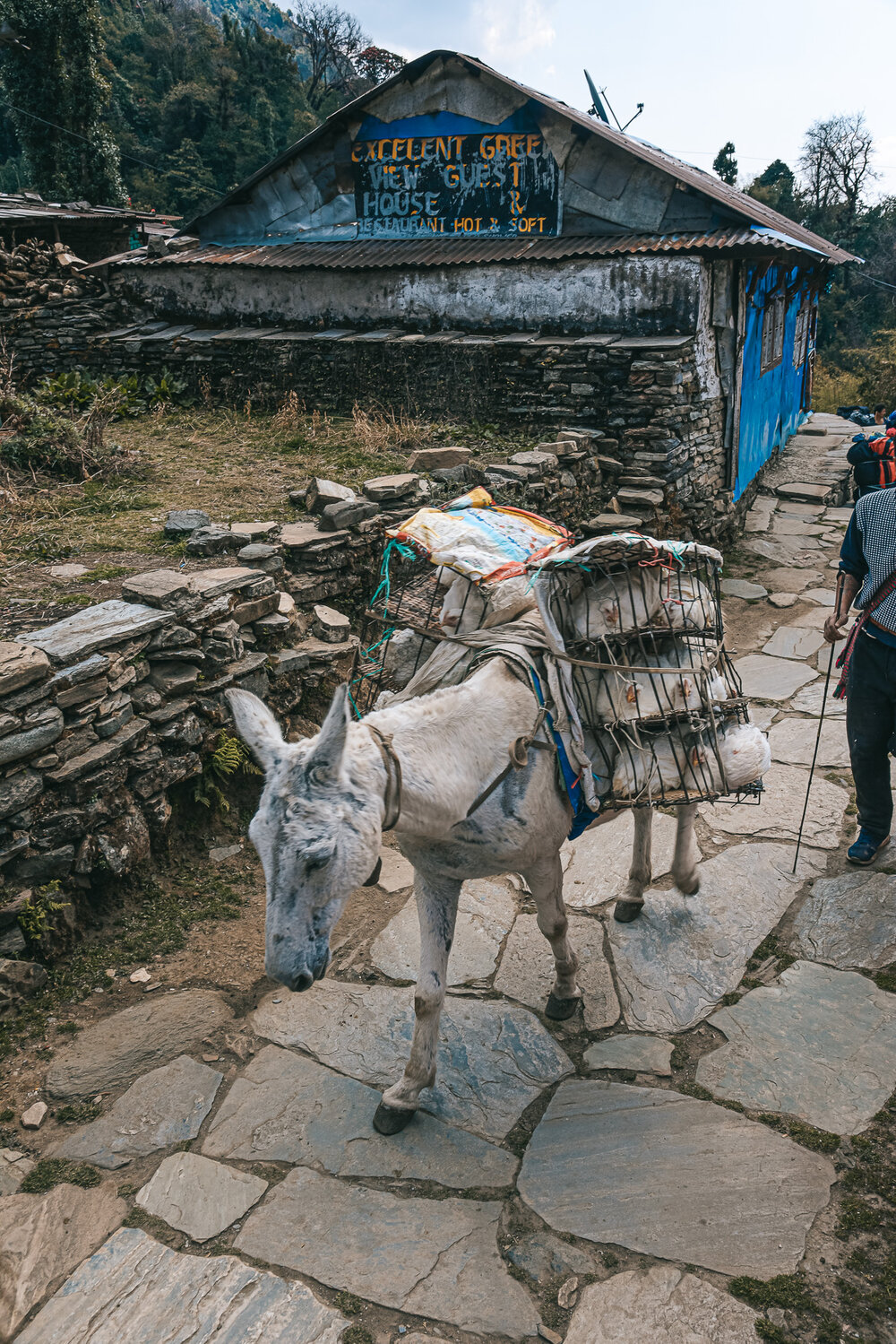 Nepal_Alex_Kovacheva_Nomad_Photos-134.jpg