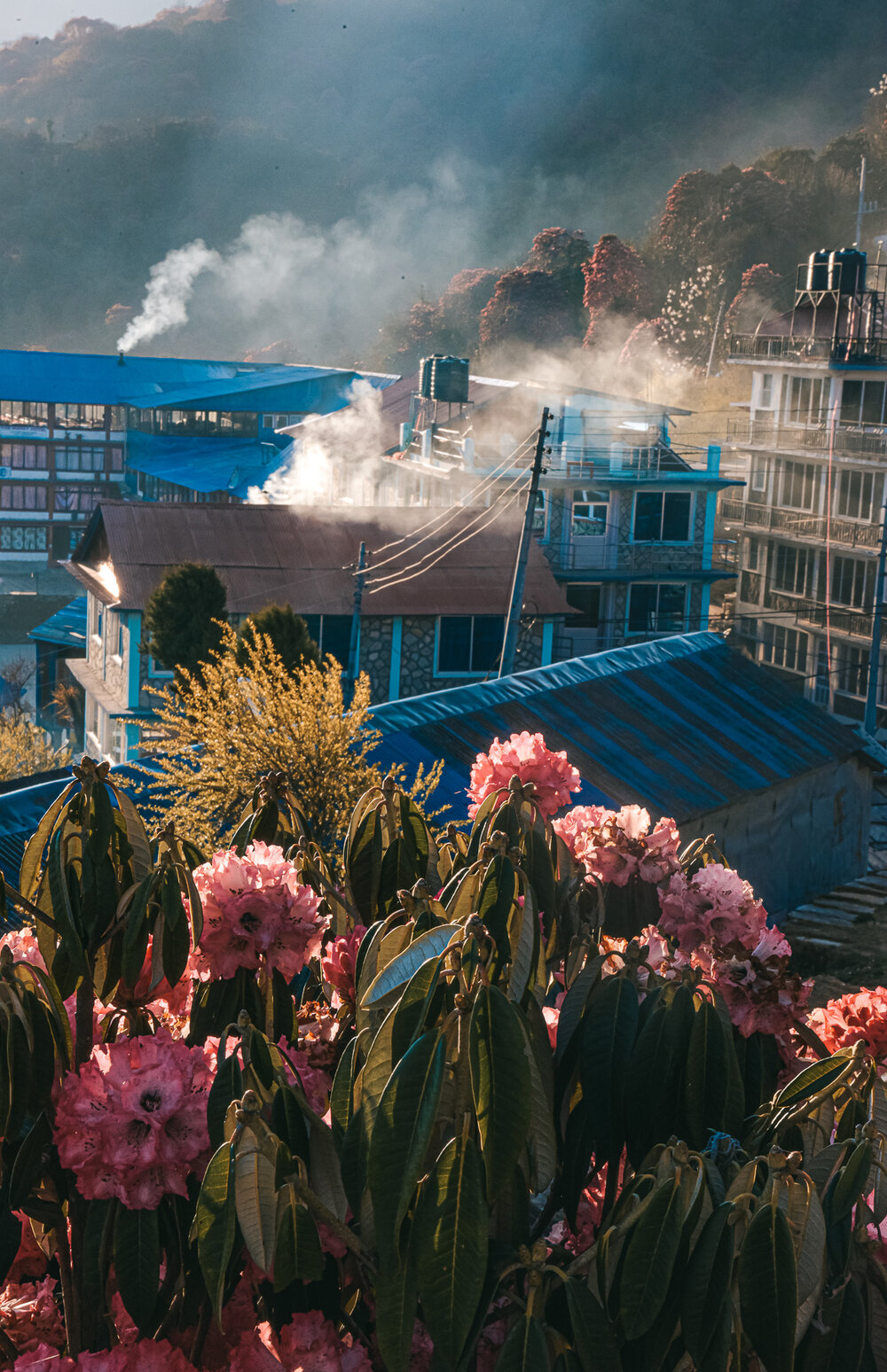 Nepal_Alex_Kovacheva_Nomad_Photos-118.jpg