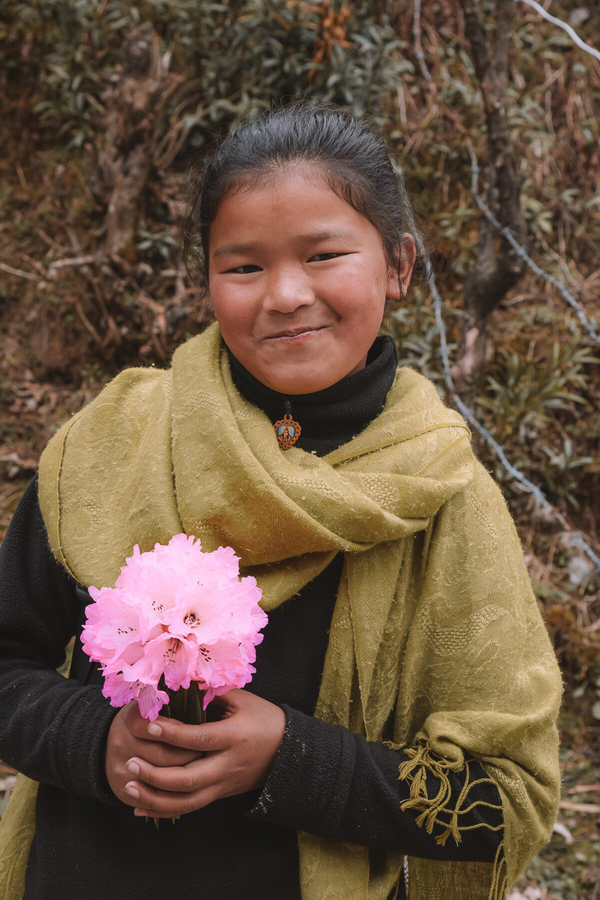 The Annapurna Region in Nepal — Nomad Photos