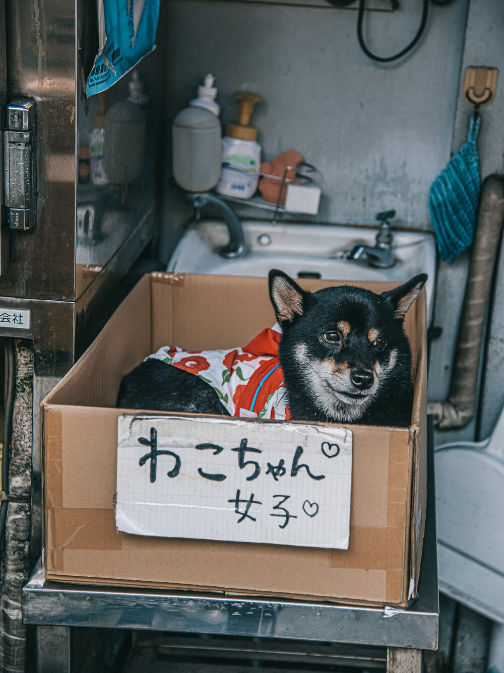 Japan_Old_Tsukiji_Nomad_Photos-02.jpg