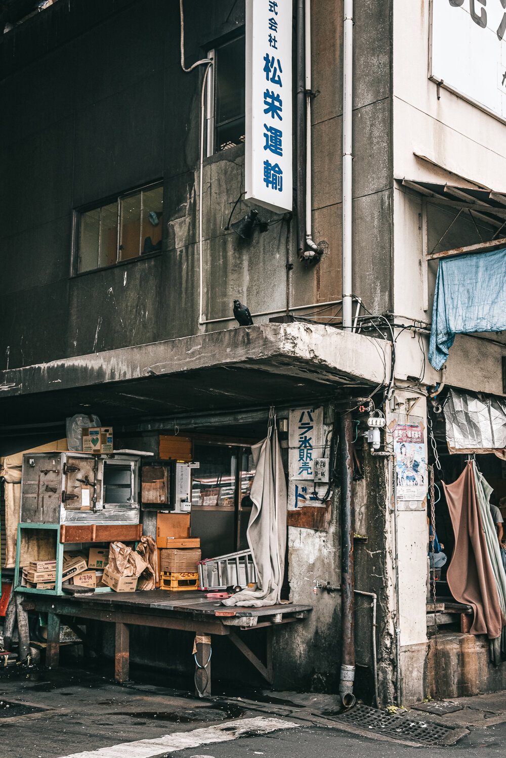 Japan_Old_Tsukiji_Nomad_Photos-44.jpg