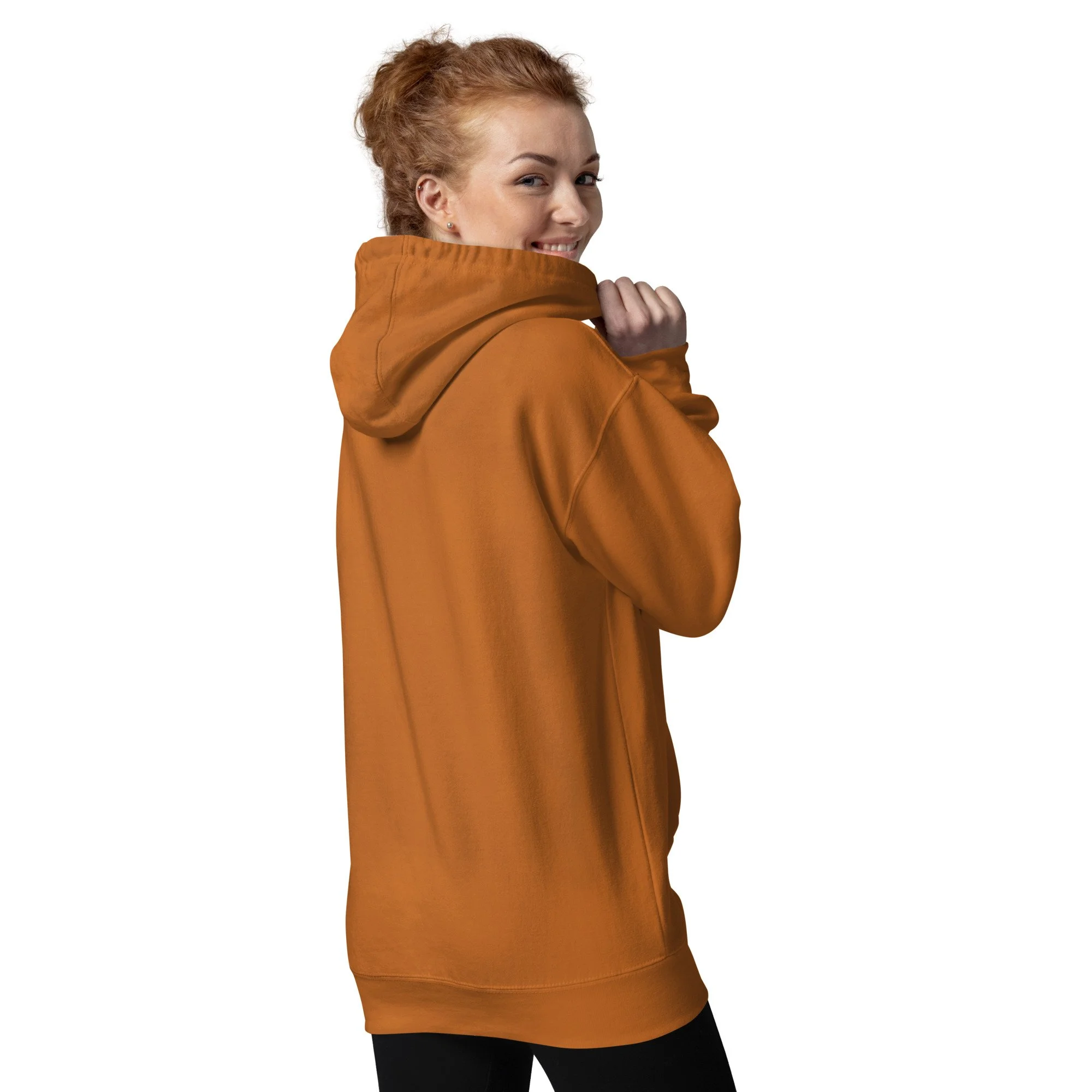 unisex-premium-pullover-hoodie-adobe-back-69f3f1f4616e7.jpg