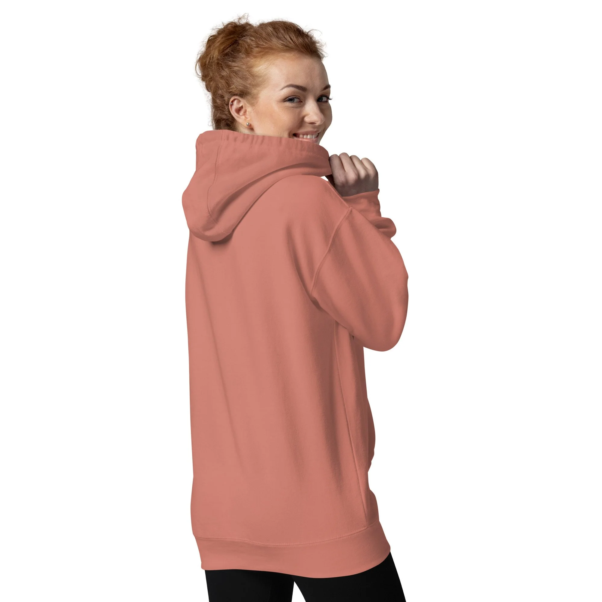 unisex-premium-pullover-hoodie-dusty-rose-back-69f3f1f479d9e.jpg