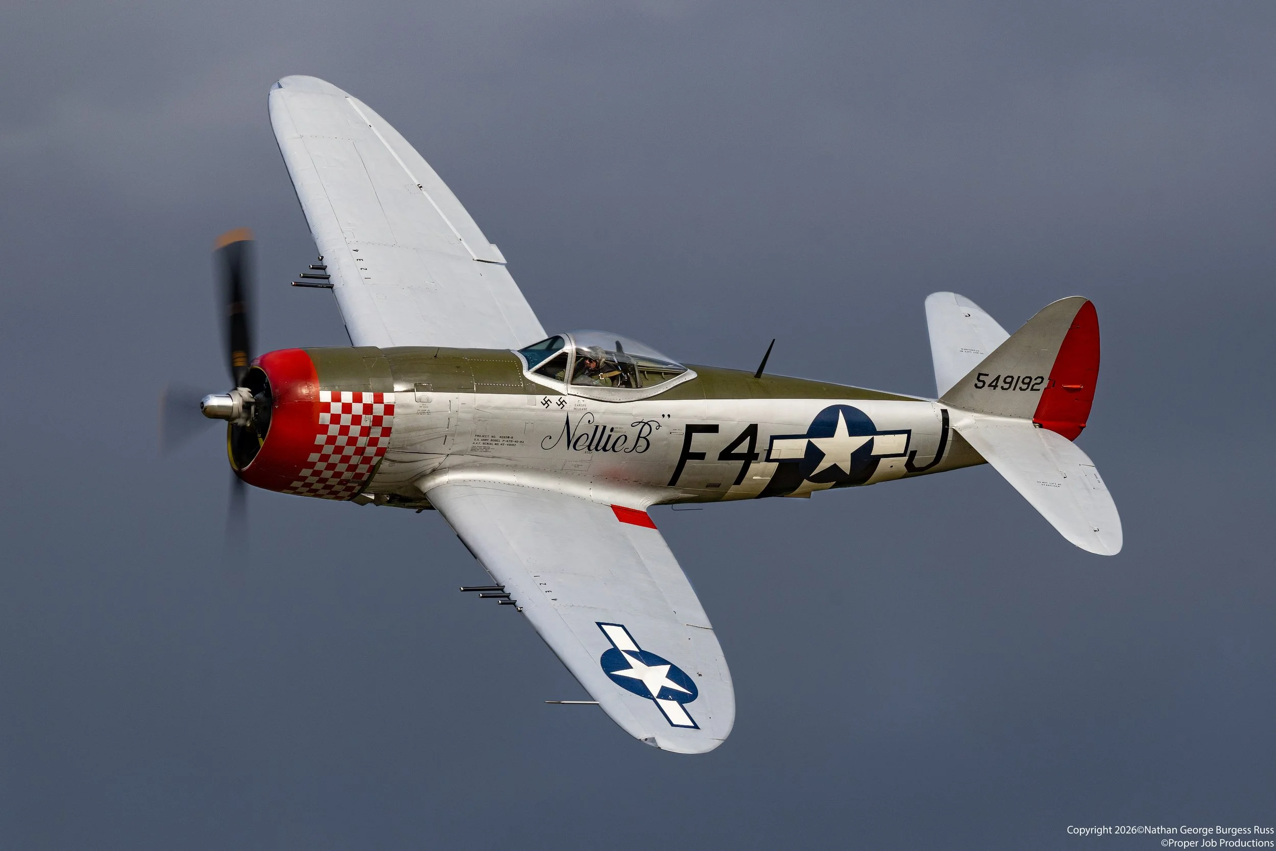 Republic P-47D Thunderbolt 'Nellie B'

Nellie was built in 1945 at Republic's Evansville factory in Indiana. She served with the US Air Training Command before being stored at Tinker AFB in Oklahoma with the Air Material Command after the end of the 