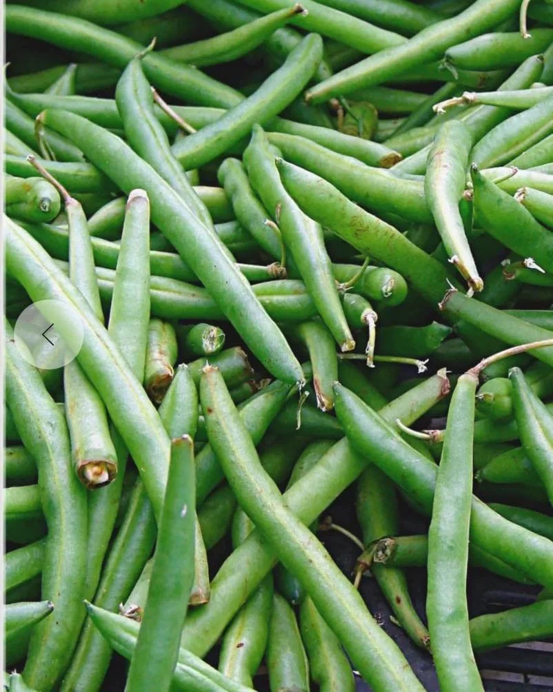 A reminder that this week is Bean Sunday. Bring some beans to feed your neighbors through The Caring Place.