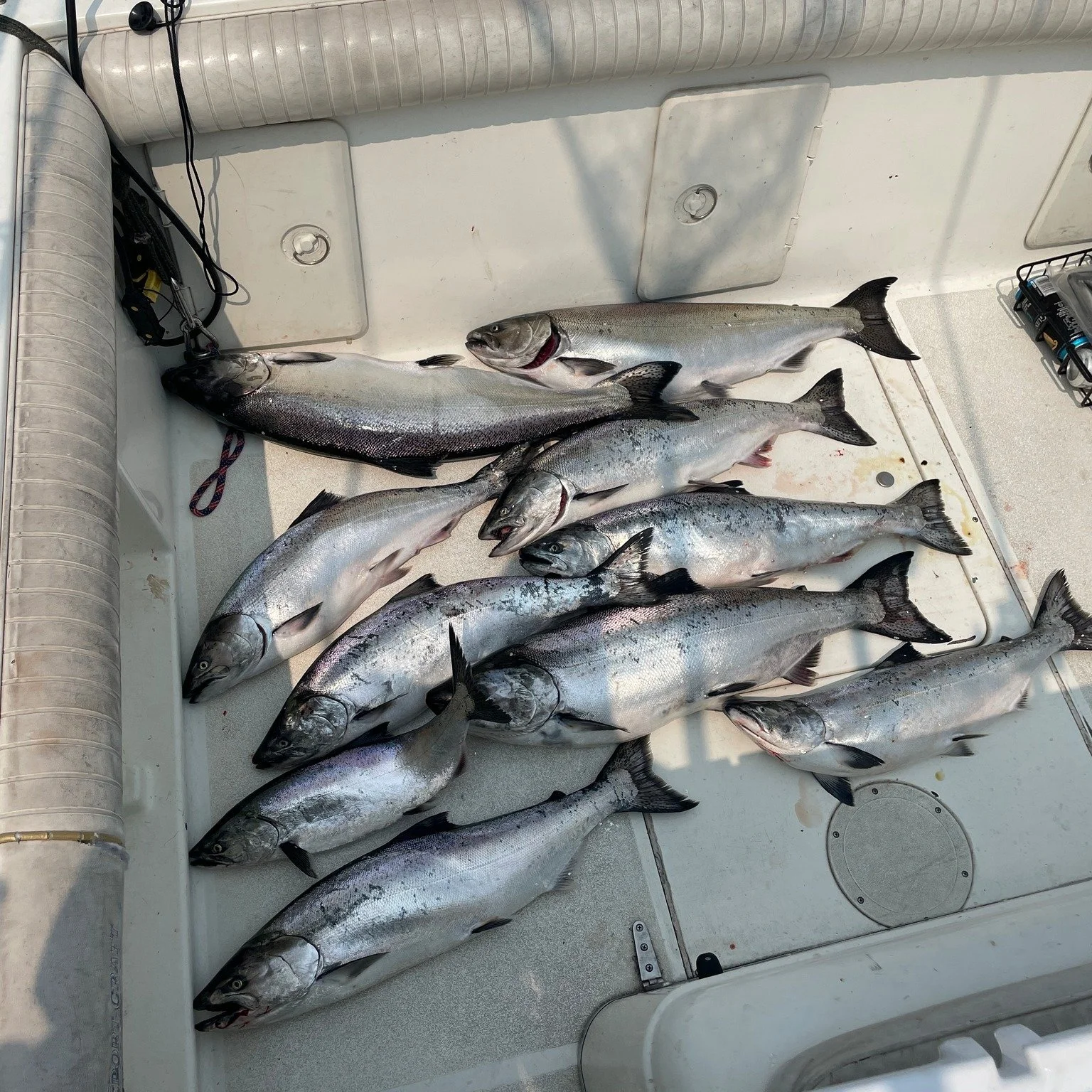 Good morning, Saints. This is the sermon that Fr. Christian wrote for today. Remember that if you'd like to join us for virtual morning prayer, our siblings at St. Andrew's Episcopal Church have invited us to join them. 

See the comments for the lin