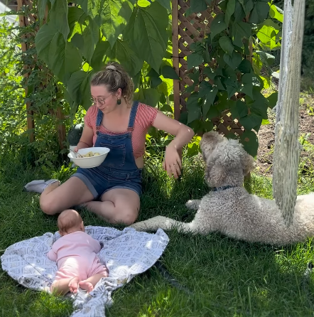 Capture d’écran, le 2024-10-02 à 15.21.22.png