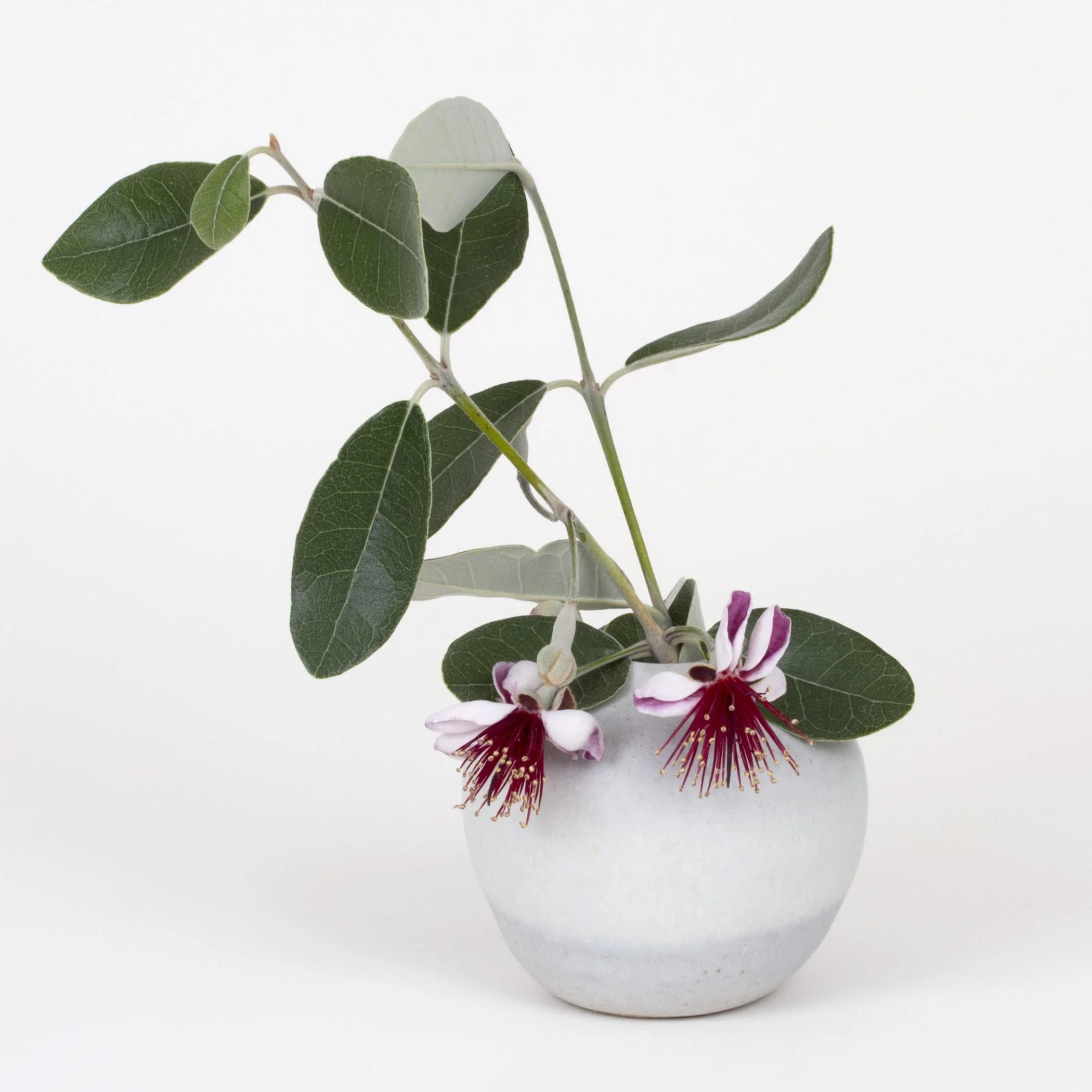 Neutral Matte Bud Vase