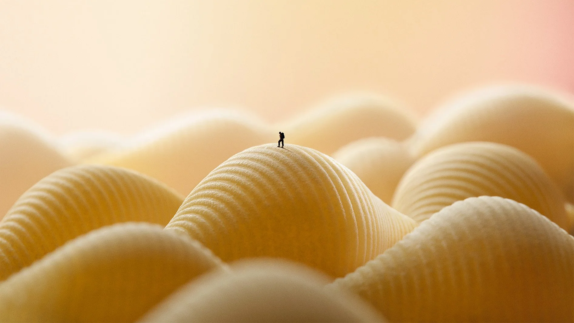 pasta.jpg