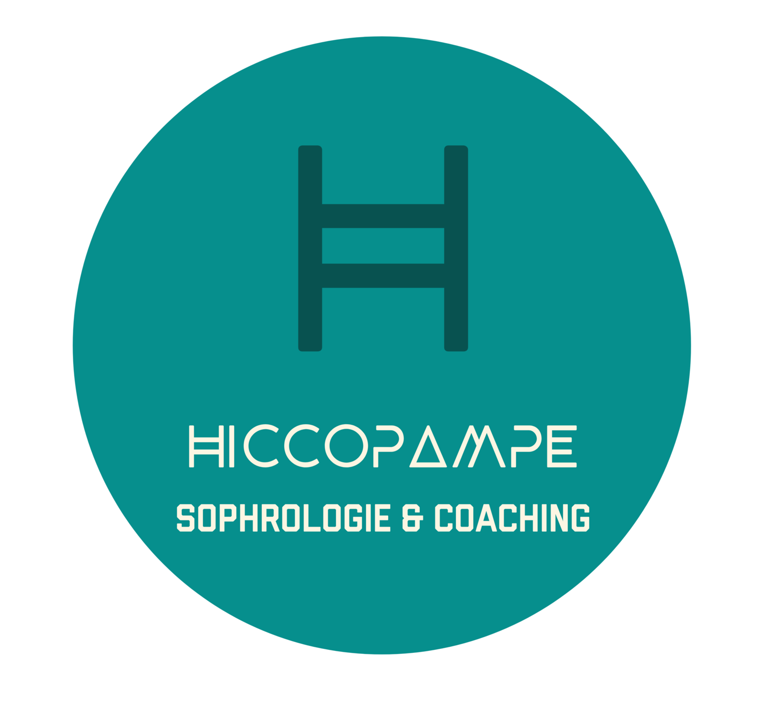 Stéphane Lhuillier, Hiccopampe - Coaching for Family - Paris 5