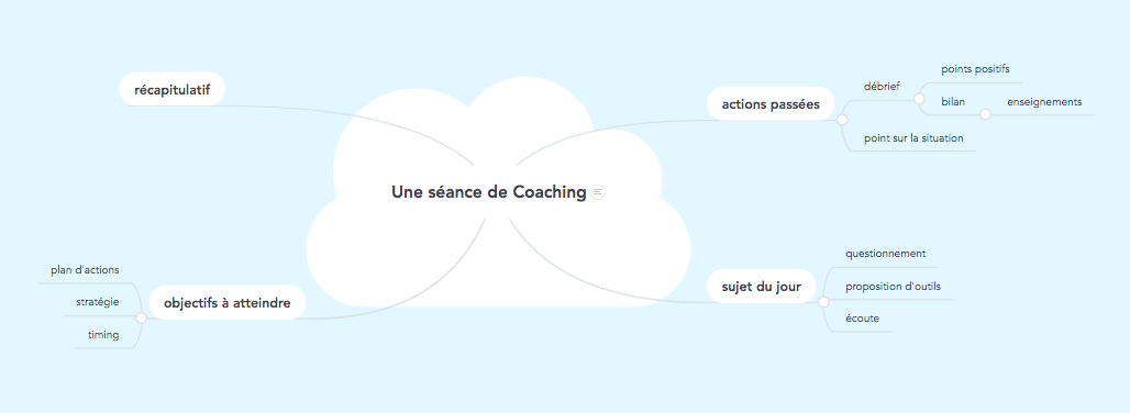 carte mentale pour décrire une séance de coaching