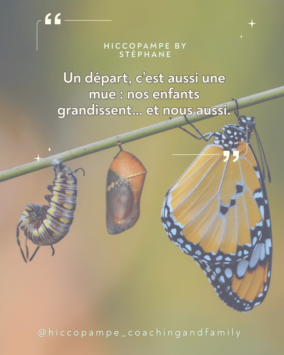 Leurs ailes poussent.
Ils grandissent. Nous aussi.
Nos peaux changent aussi.

👉 Quelle mue vivez-vous en ce moment ?

#MueFamiliale #Transitions #ParentLife #TransitionDeVie #NidVide #ParentLife

Vous voulez en savoir plus sur comment transformer ce