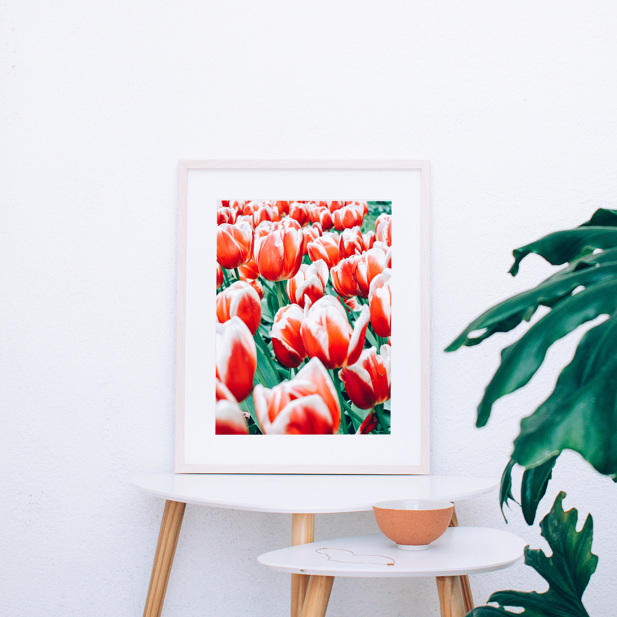 WLDFLWR_PRINT_11-web main.jpg