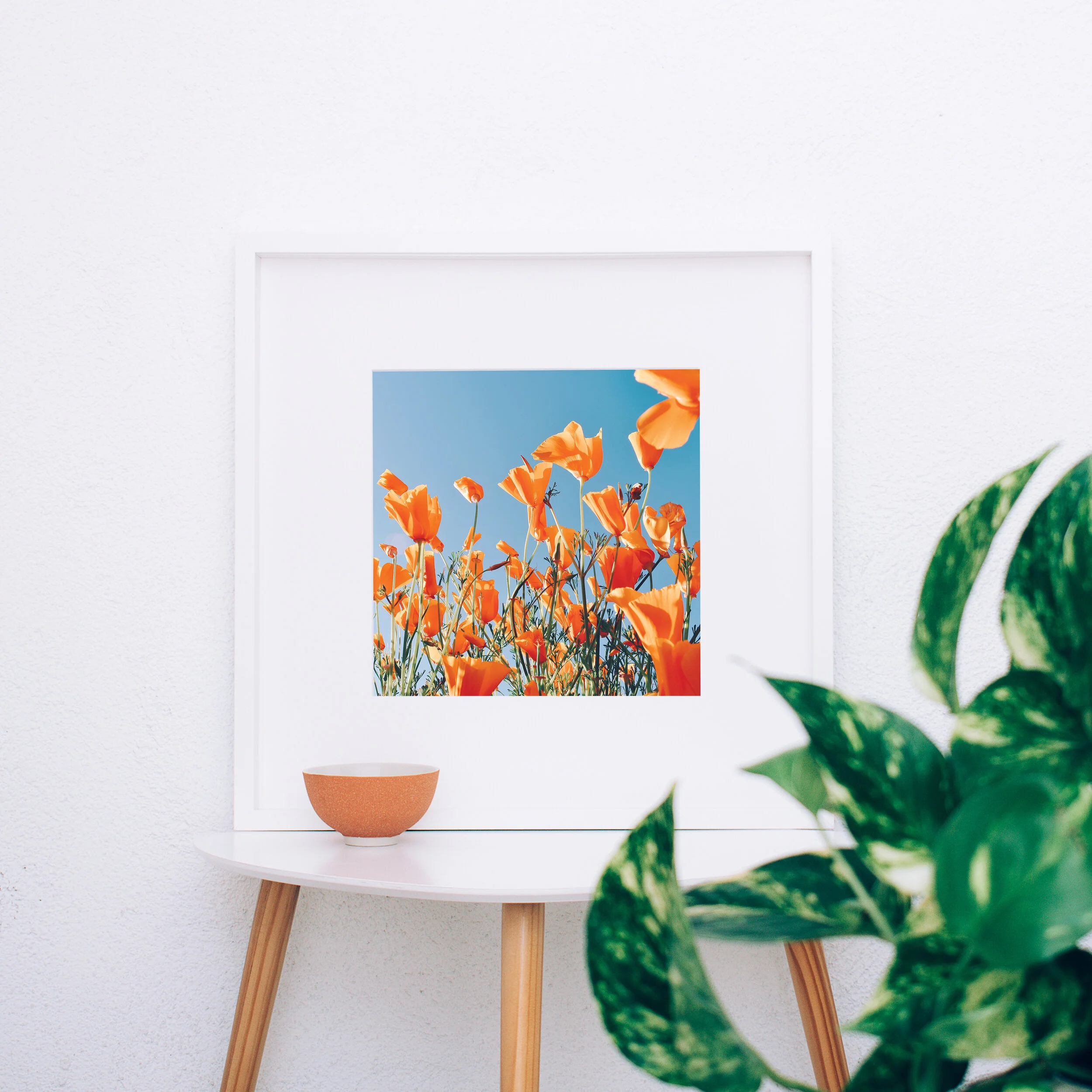 WLDFLWR_PRINT_8-web main.jpg