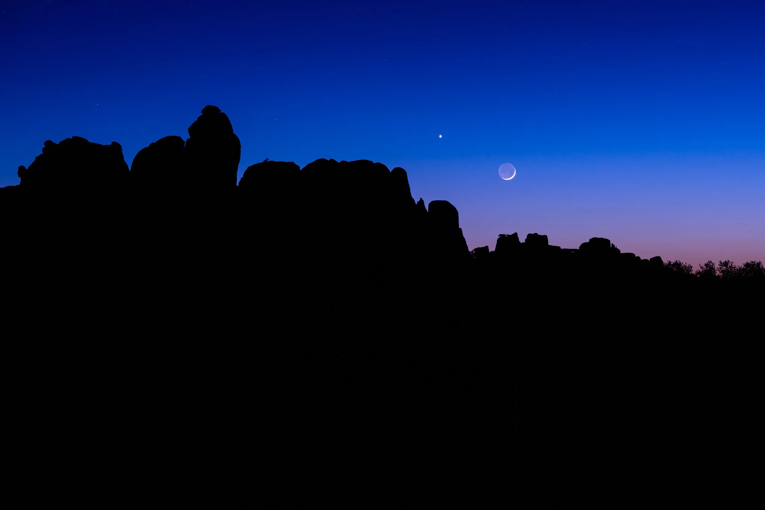 RS_Joshua Tree 2021-7.jpg