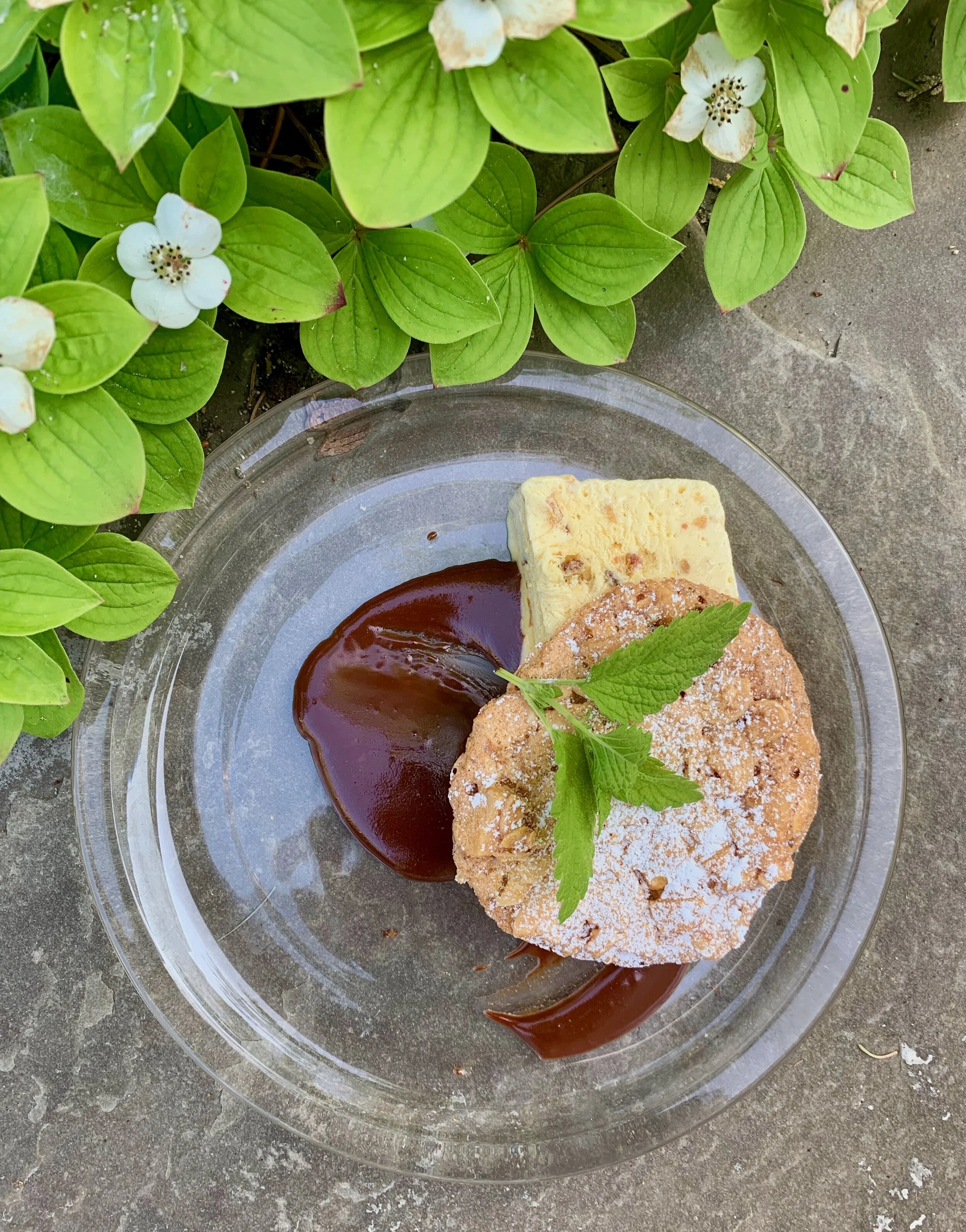 Semi Freddo with Candied Ginger and Toasted Macadamia Nuts