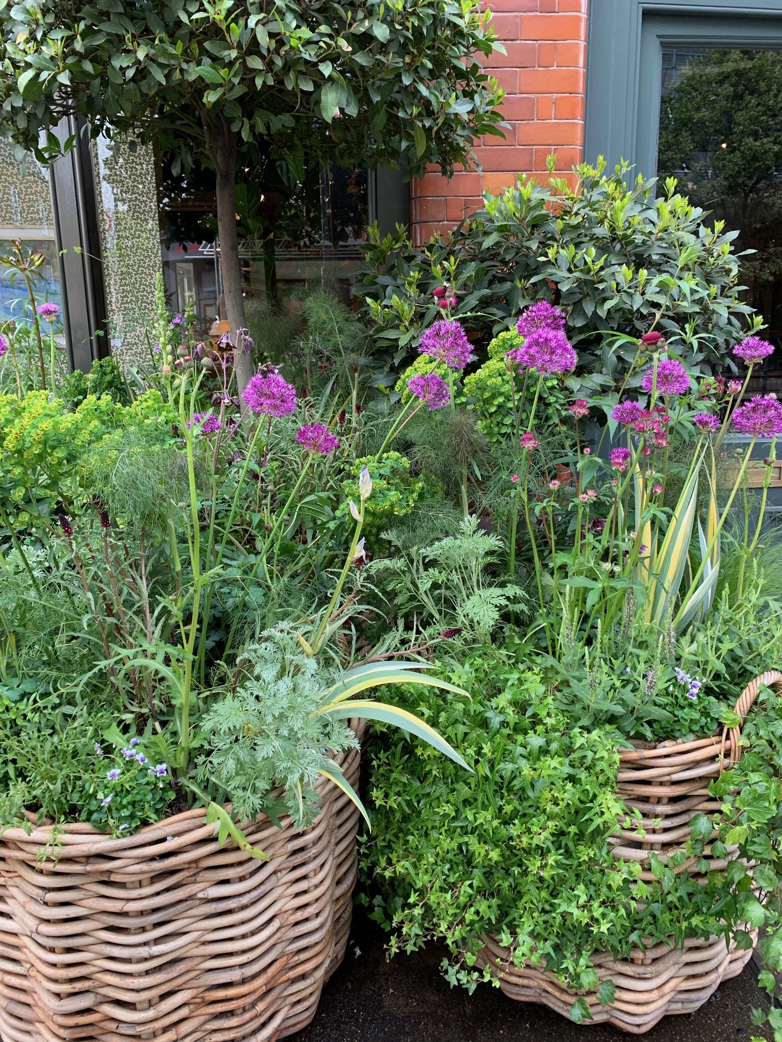 pimlico street style