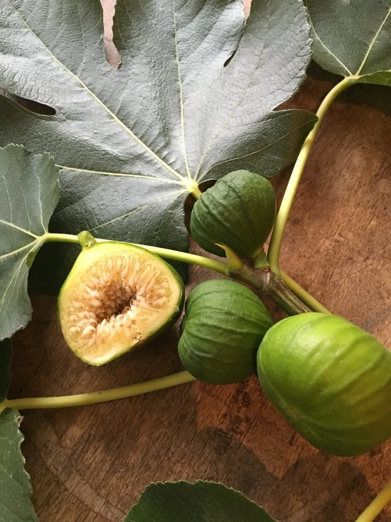 Fresh Figs