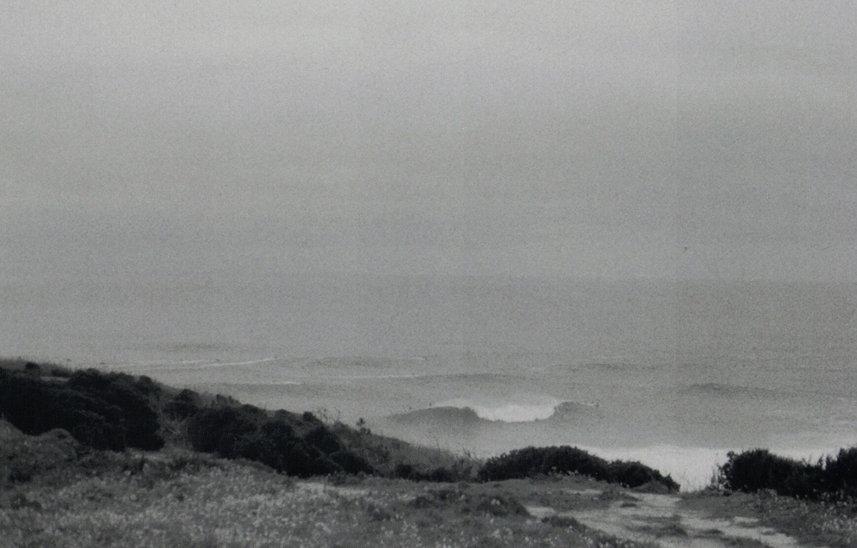 Scan 2.jpeg
