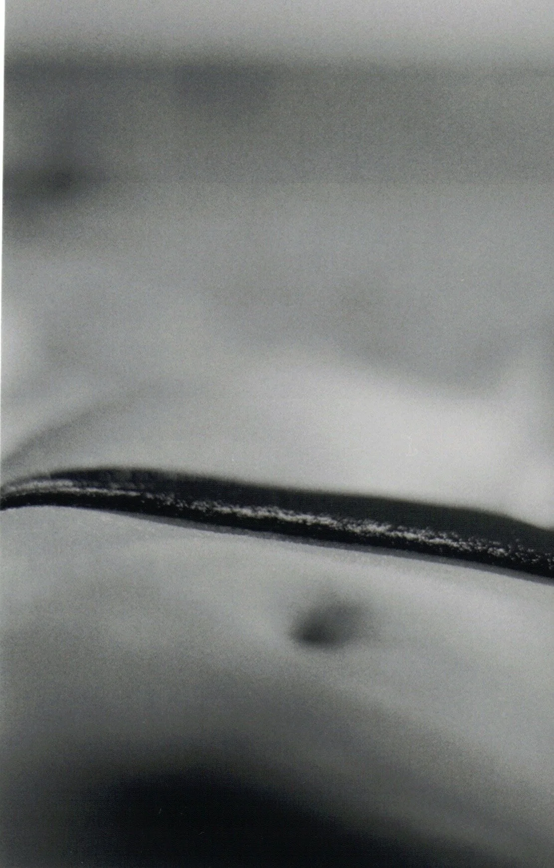 Scan 1.jpeg