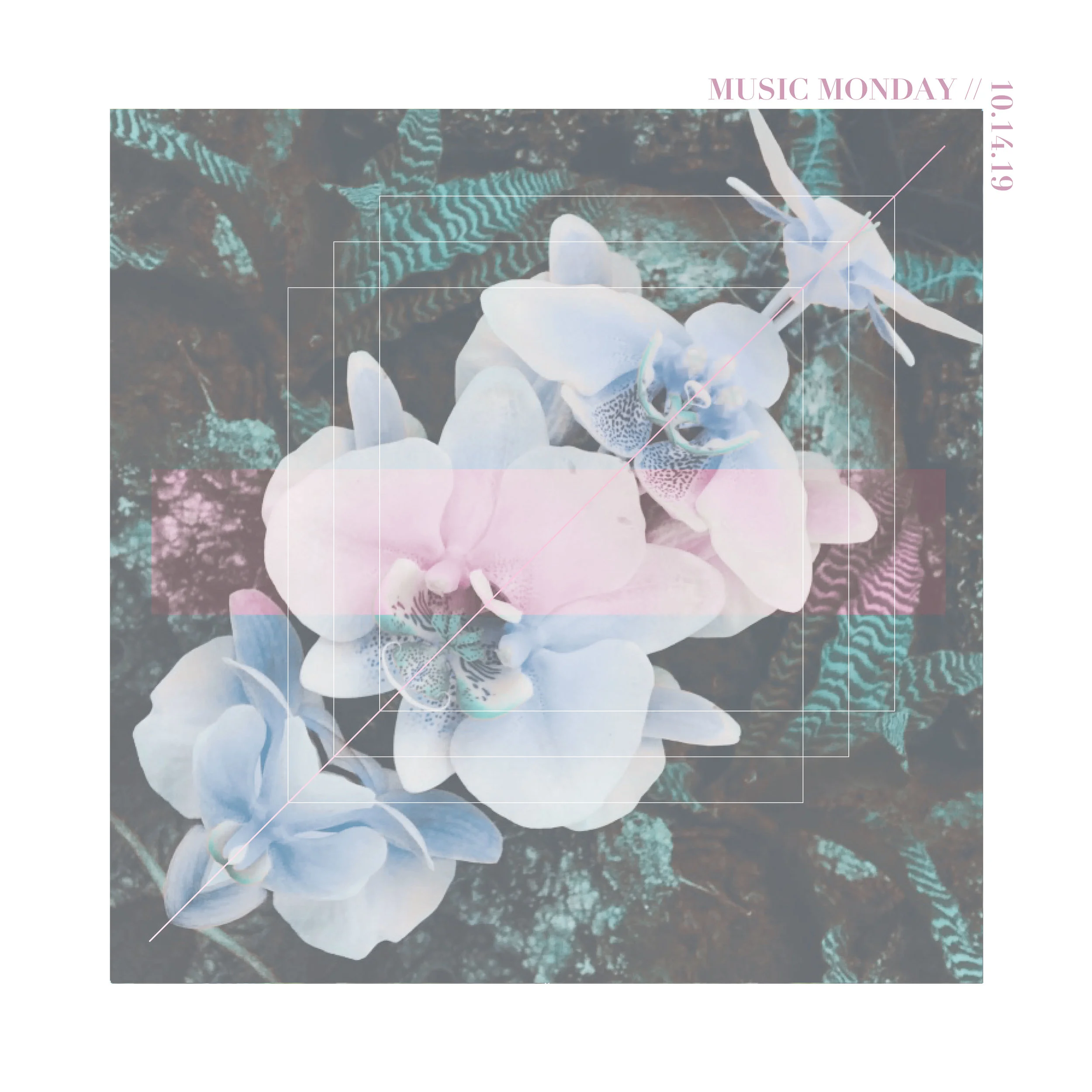 MUSIC MONDAY // 10.14.19