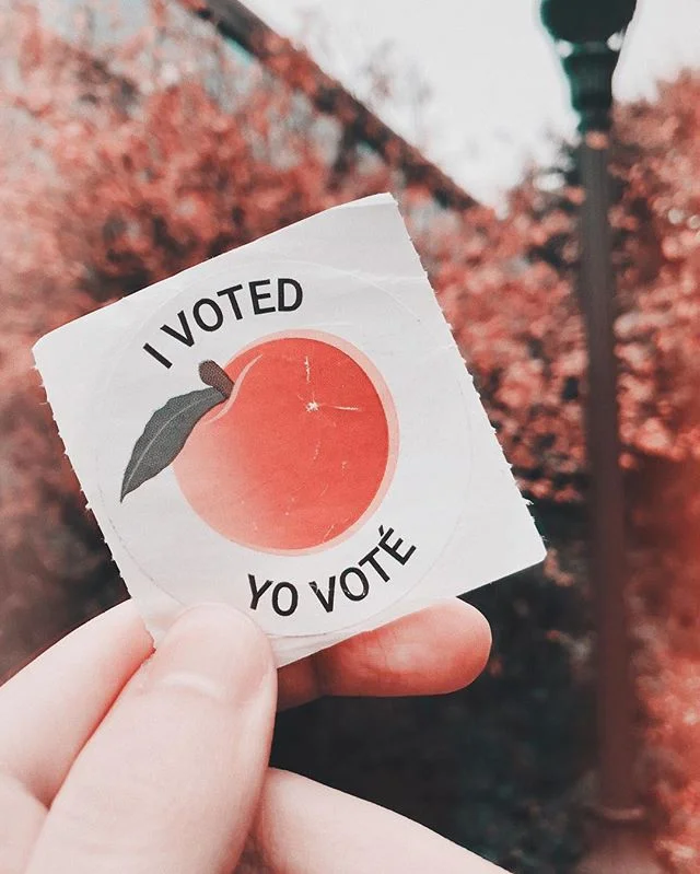 remember, remember the 5th of november...is the day before midterm elections this year. make your plans to VOTE tomorrow, if you haven&rsquo;t already.
.
.
#vote