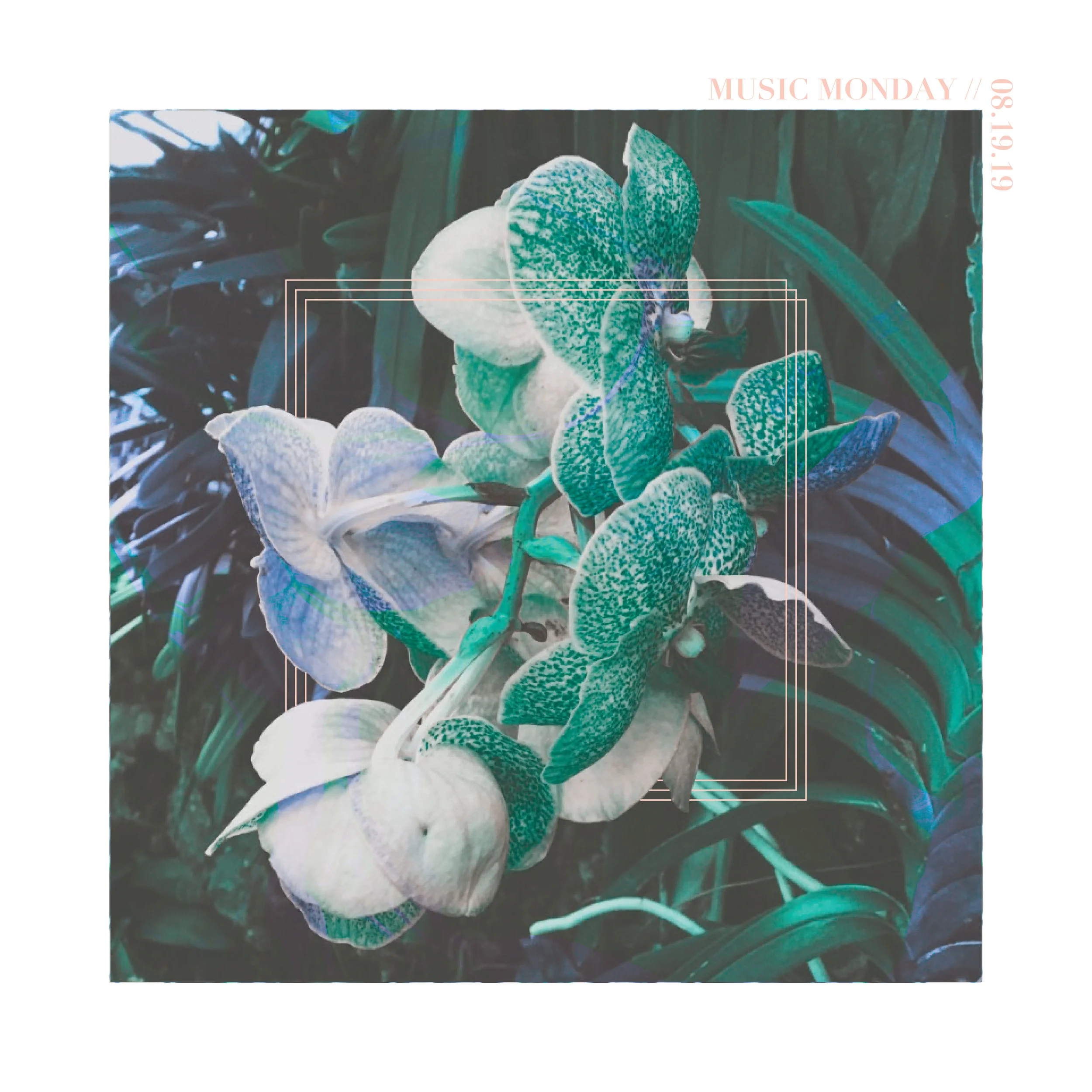 MUSIC MONDAY // 08.19.19