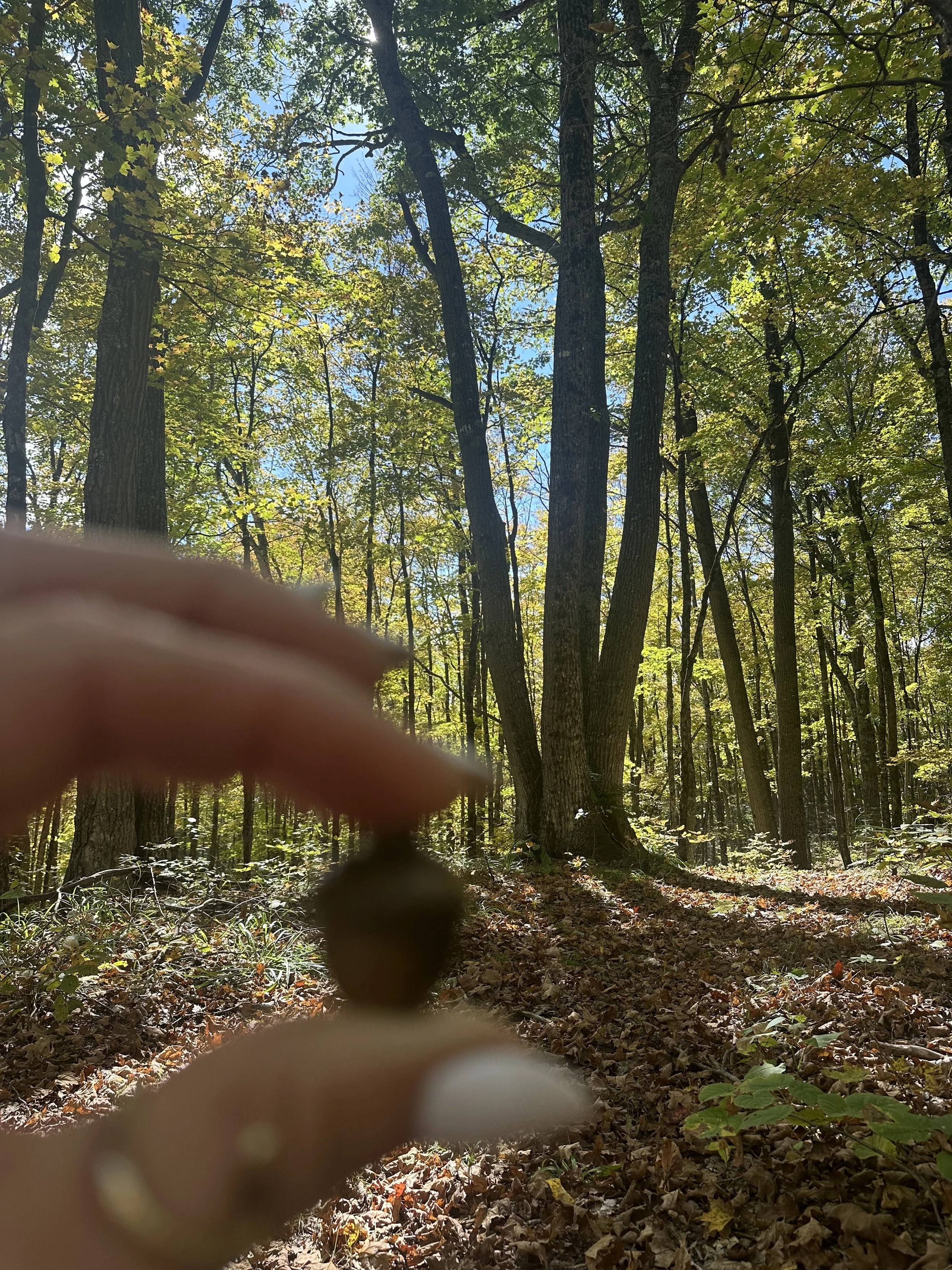 You Are the Miracle: Embracing Routine and Balance This Fall