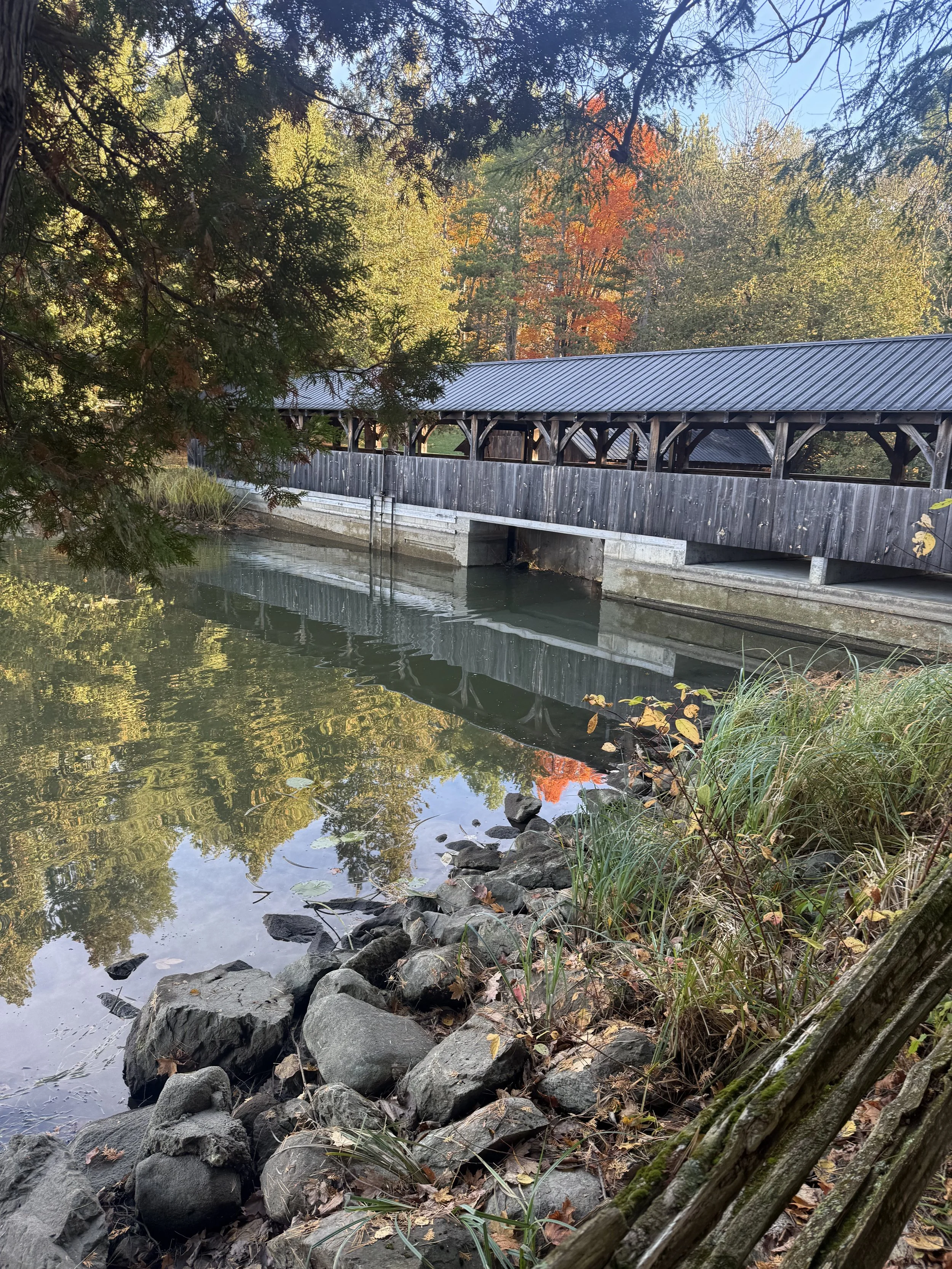 Embracing the Power of the Mind: Honoring Our Natural Rhythms This Fall and Winter